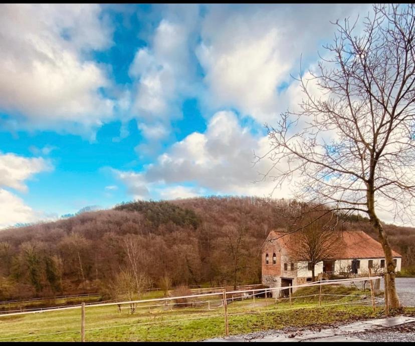 Вілла Le Ranch Des Aguesses Andenne Екстер'єр фото