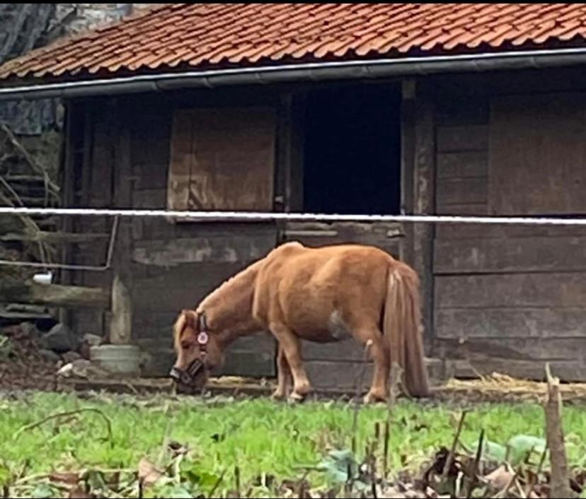 Вілла Le Ranch Des Aguesses Andenne Екстер'єр фото