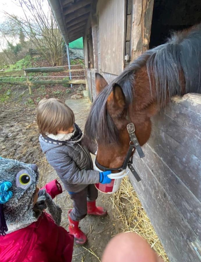 Вілла Le Ranch Des Aguesses Andenne Екстер'єр фото