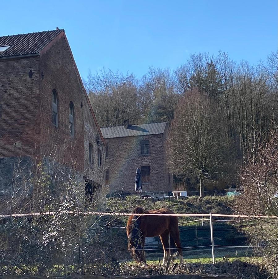 Вілла Le Ranch Des Aguesses Andenne Екстер'єр фото