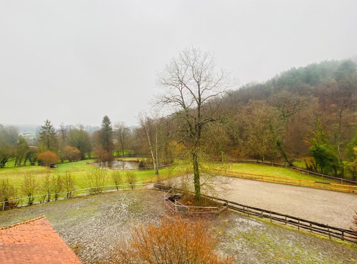 Вілла Le Ranch Des Aguesses Andenne Екстер'єр фото